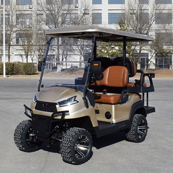 Xe golf đa dụng 4 chỗ ngồi R2C màu vàng 