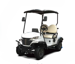 Xe điện chơi golf G-C2