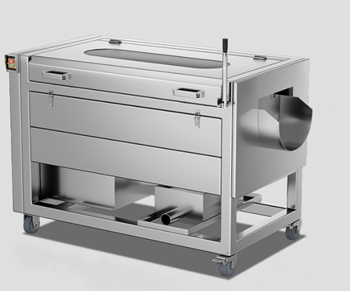 Máy làm sạch vỏ rau củ CHINENG CN-QPJ-8076-MS-B1500