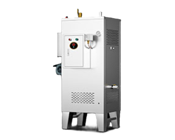 Máy tạo hơi nước dạng đứng CHINENG CN-DC-LH-R-100Y
