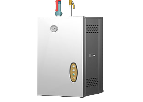 Máy tạo hơi nước treo tường CHINENG CN-B-DZQ-24