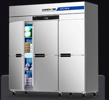Tủ đông dạng đứng (làm mát tĩnh/làm mát bằng không khí) CHINENG CN-8124-FLSW-6M-2C4D  