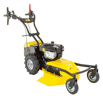 Máy cắt cỏ 4 bánh chuyên nghiệp Roques et Lecoeur RL 210 RL