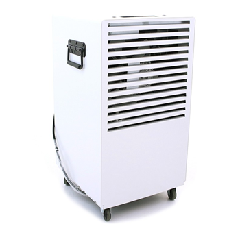 Máy hút ẩm Fral FD33ECO 