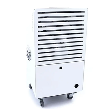 Máy hút ẩm Fral FDNF44