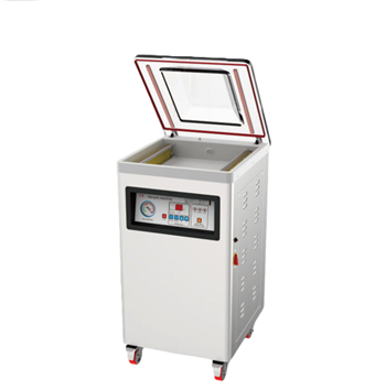 Máy đóng gói V400 