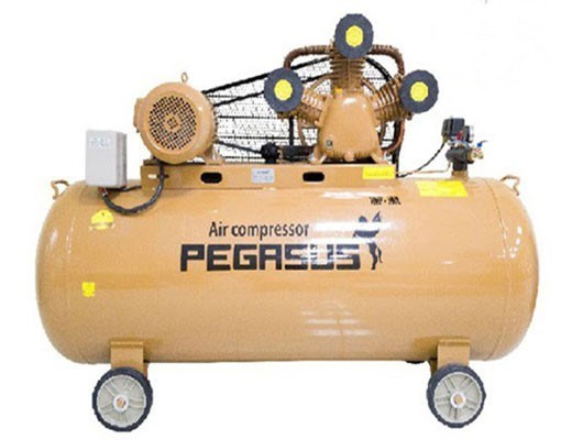 may nen khi pegasus tm-w-0.9/8-500l hinh 0