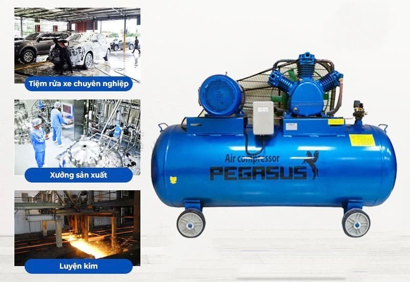 may nen khi pegasus tm-w-1.0/8-500l hinh 2