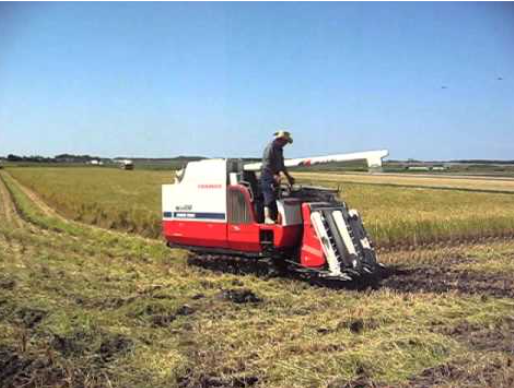 may gat dap lien hop yanmar ca485 hinh 0