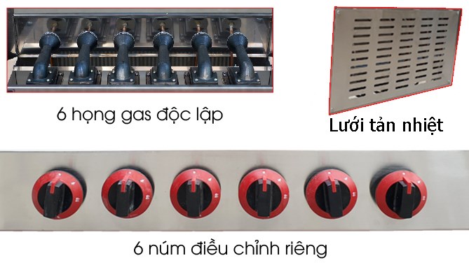 lo nuong gas 6 hong vi-ln6h hinh 1