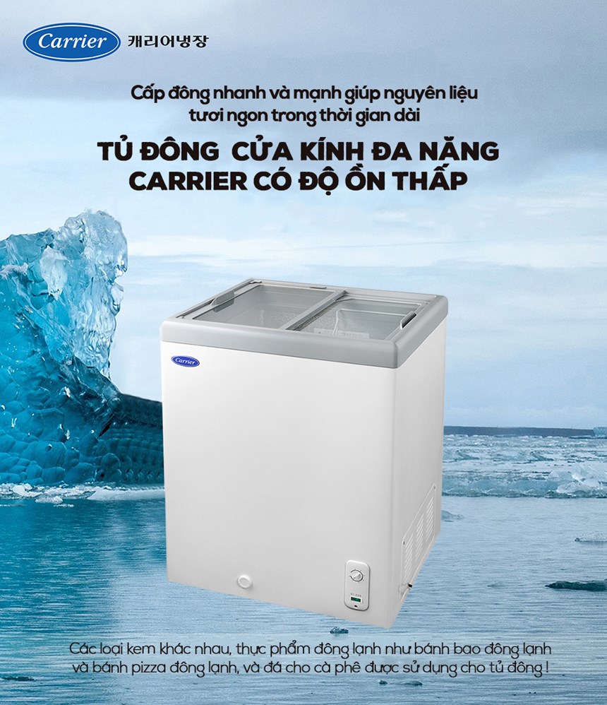 tu tru dong (cua kinh) csdh-d100wa hinh 0