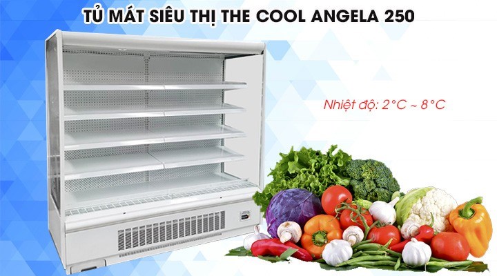 tủ mát siêu thị dạng hở the cool angela 250 hình 0 tu mat sieu thi dang ho the cool angela 250 hinh 0
