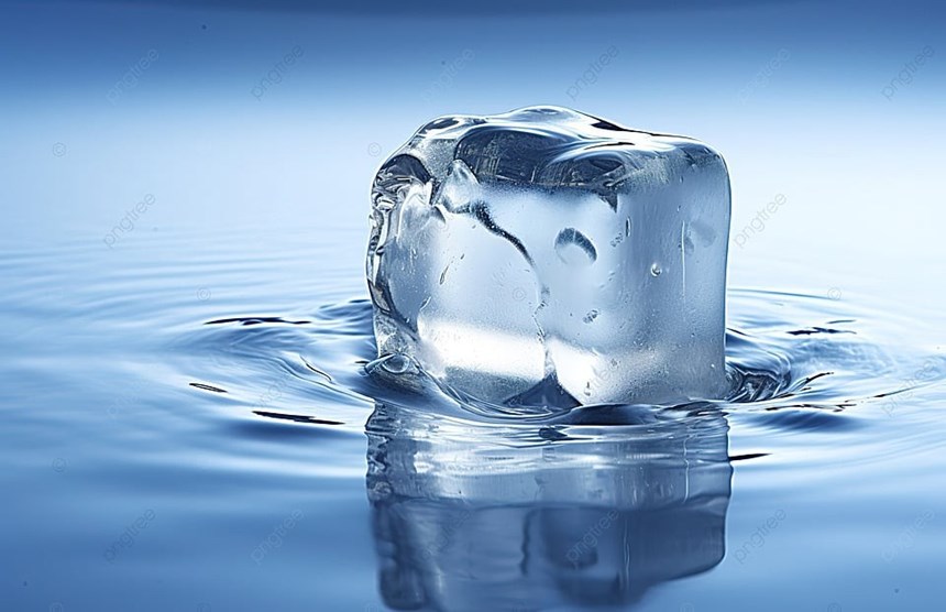 may lam da 100kg/24h lotus ks100/15a hinh 1