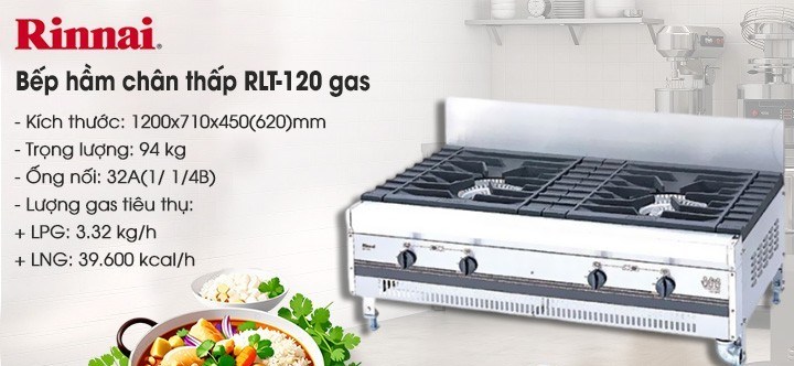 bep ham chan thap rinnai rlt-120 dung gas hinh 0