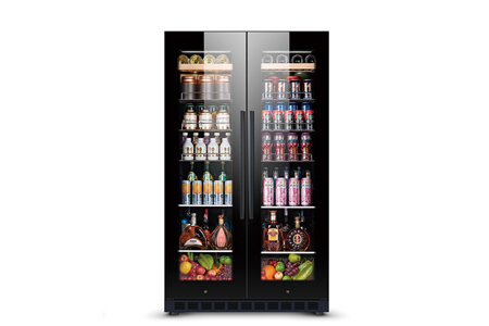 tu mat 2 canh kinh kolner knj-635wd hinh 0