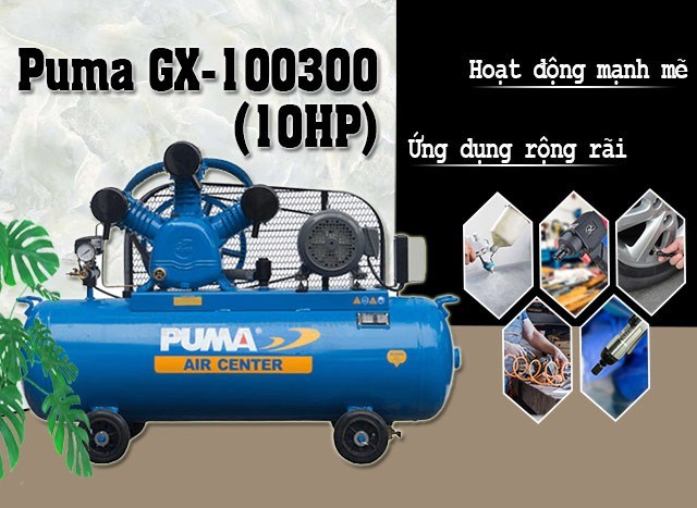 may nen khi piston puma gx-100300(10hp) hinh 2