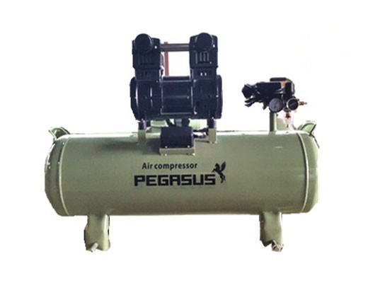 may nen khi mini khong dau pegasus tm-of1500-70l hinh 0