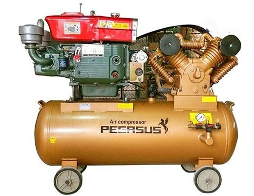 may nen khi piston chay dau pegasus tm-w-1.0/8-330l hinh 0