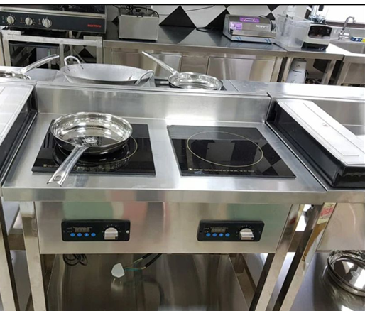 bep tu mat phang am quay lt-qpm-f208 hinh 1