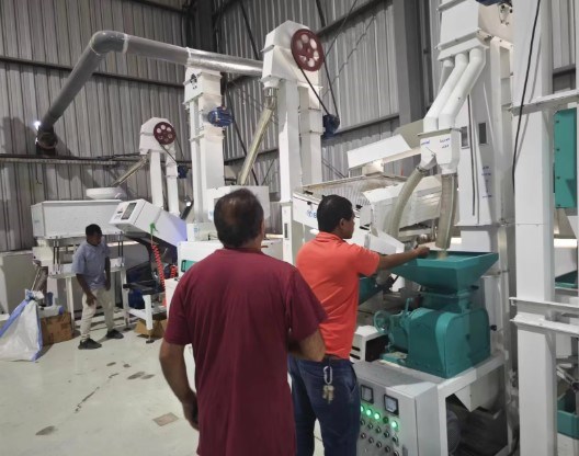 may xay xat gao ket hop nang suat 600-800kg/gio 6ln-15/15sd hinh 7