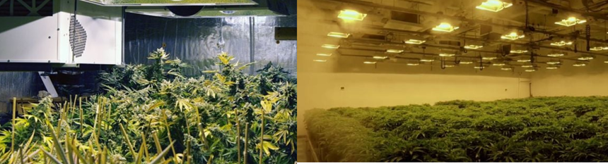 may hut am am tran dorosin dpdz-66e hinh 1