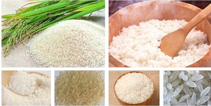 day chuyen san xuat gao slg70 hinh 1