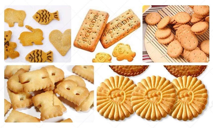 day chuyen lam banh quy tu dong loyal ly-400 hinh 0