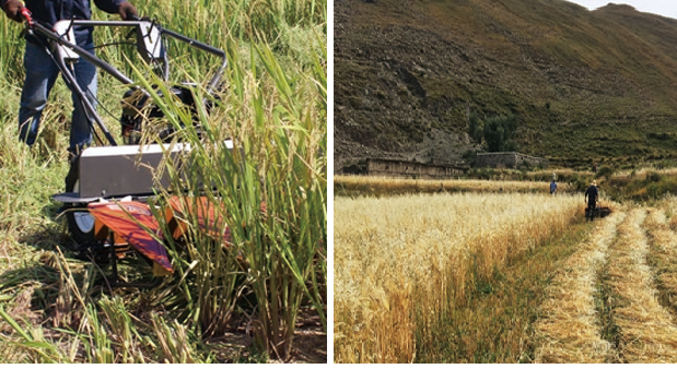 may gat lua day tay weima wmgs120 / wmgs120a hinh 1