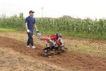 máy xới đất weima wm1000n-6 hình 0 may xoi dat weima wm1000n-6 hinh 0