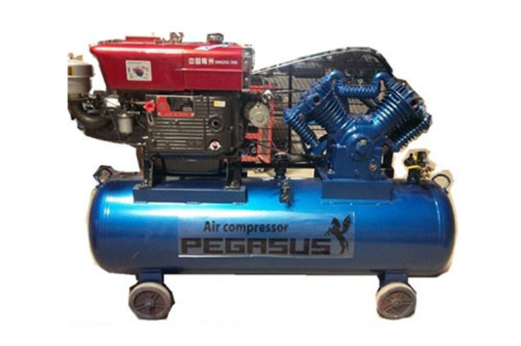 may nen khi dau no chay xang pegasus tm-v-0.25/8-100l hinh 0
