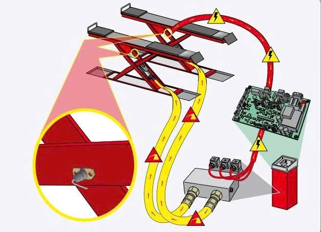 cau nang cat keo cho kiem tra goc dat banh xe erco x4300ctlt hinh 1
