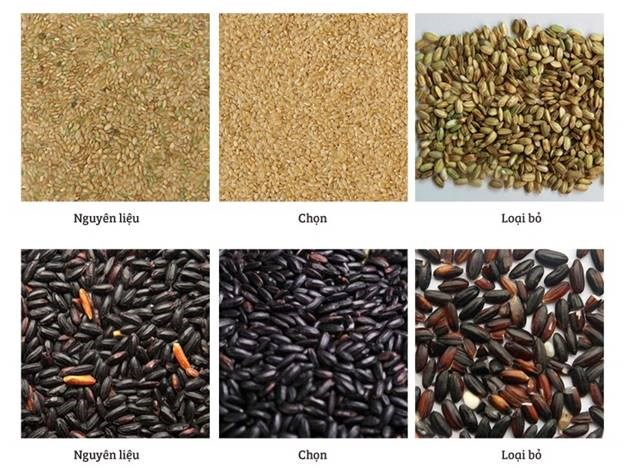 may tach mau phan loai hat gao 6sxm hinh 9