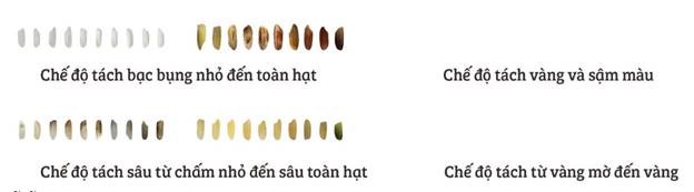 may tach mau phan loai hat gao 6sxm hinh 7