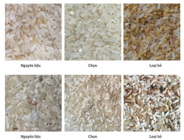 may tach mau phan loai hat gao 6sxm hinh 8