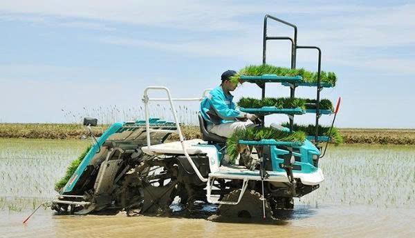 máy cấy lúa kubota spv-6cmd hình 0 may cay lua kubota spv-6cmd hinh 0