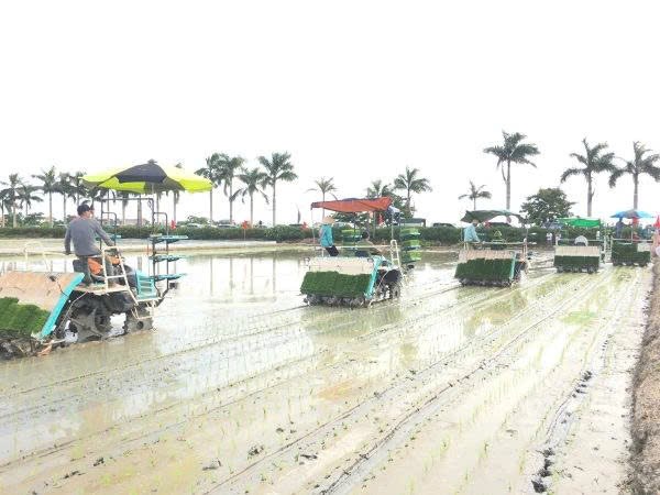 máy cấy lúa kubota spv-6cmd hình 1 may cay lua kubota spv-6cmd hinh 1