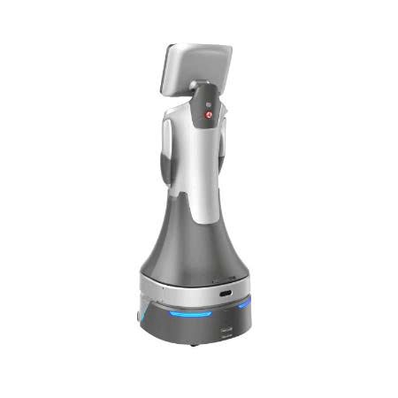 robot dich vu ai greetingbot nova hinh 0