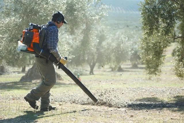 may thoi la husqvarna 580bts hinh 0