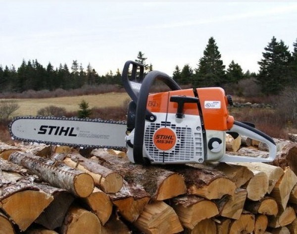 may cua xich stihl - ms361 hinh 0
