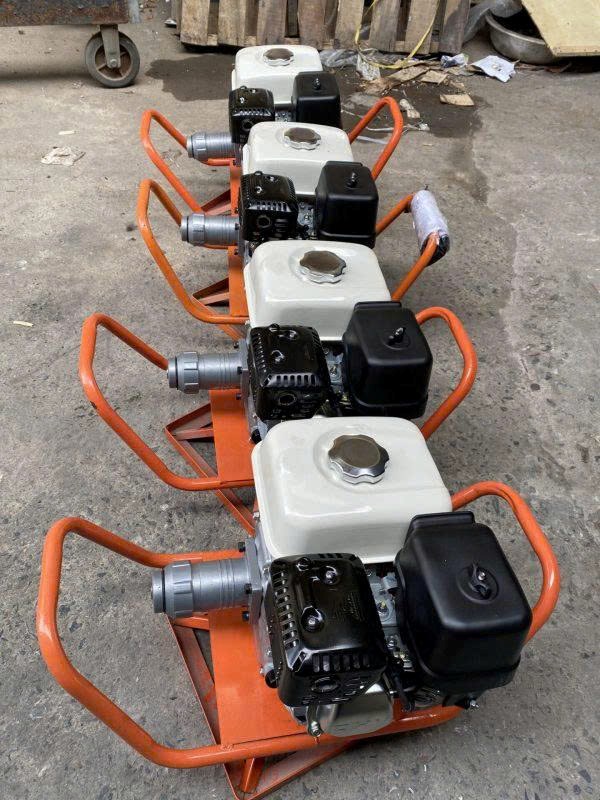 may dam dui xang + dong co bringgs 6.5hp hinh 0