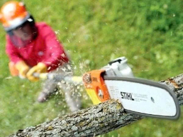 may cua canh stihl - ht75 (34mm - 25.4cc) (3/8) hinh 1