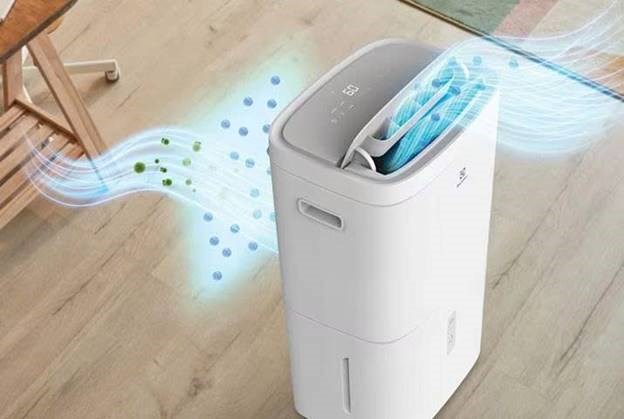 may hut am electrolux edh10trbw1 cong suat 20 lit/ngay hinh 2